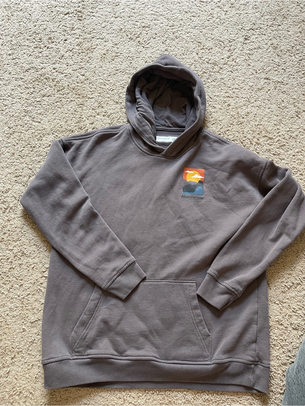 Abercrombie & Fitch Kids Gray Hooded Sweatshirt with Sunset Graphic Size 17/18